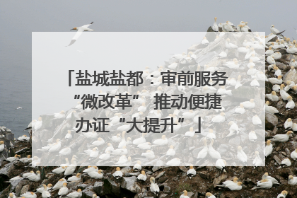 盐城盐都：审前服务“微改革” 推动便捷办证“大提升”